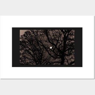 CANT SEE THE MOON FOR THE TREES Posters and Art